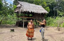 1 Day All-Inclusive Guided Jungle Tour from Iquitos