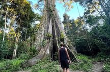 Full-Day All-Inclusive Guided Jungle Tour from Iquitos