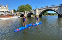 Stand up Paddleboarding on the beautiful Thames at Richmond