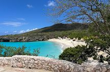 The Blue Experience: Snorkeling with Turtles & Beach Hopping tour