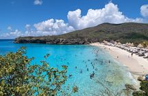 The Blue Experience: Snorkeling with Turtles & Beach Hopping tour