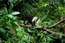 Panama Canal Jungle Boat Explorer Private Tour 