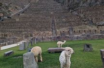from Cusco:Chinchero,Moray & Salt Mines drop-off in Ollantaytambo