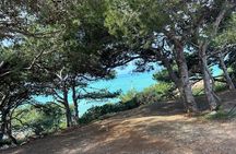 Tarifa to Tangier Tour with ferry ticket , lunch & camel ride 