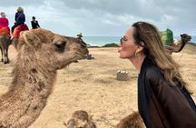 Tarifa to Tangier Tour with ferry ticket , lunch & camel ride 
