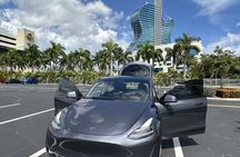 Explore Miami with a Private driver