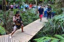 Waitangi Treaty Grounds: Combo Pass (Hāngī + Concert + Admission)