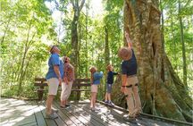 Lamington National Park, O'Reilly's & Vineyard Tour