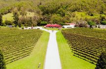 Lamington National Park, O'Reilly's & Vineyard Tour
