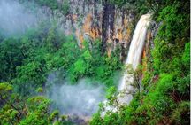 Springbrook Waterfalls & Natural Bridge Tour from Gold Coast