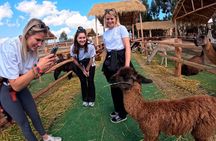One-Day Inca Trail Hike to Machu Picchu from Cusco