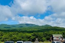 Jeju Western and Southern Routes Sightseeing Day Tour