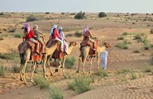 Premium Desert safari ( AL TAWARQ )