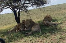 1. Day safaris to Mikumi by Train from dar es salaam 