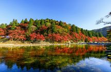 Korankei and Obara Bus Tour Papermaking Experience Course