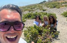 One Day in Santorini from Cruise Ship: Ultimate Island Tour