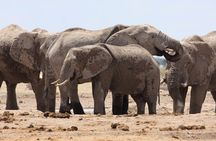 4 Day All Inclusive Tour to Boteti, Delta and Pans
