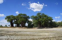 4 Day All Inclusive Tour to Boteti, Delta and Pans