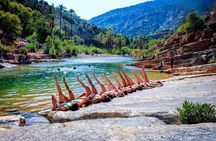 Paradise Valley Agadir + breakfast & Quad Bike Adventure Package 