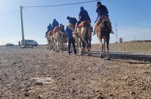 The magic of Aagafay desert in half day (Quad/camel/dinner)