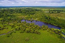 Caño Blanco Nature Sanctuary by Boat