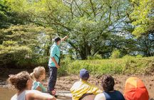 Caño Blanco Nature Sanctuary by Boat