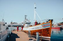Húsavík Whale Watching Tour, family owned and operated 