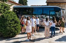 Essence of Chianti Small Group Tour with Lunch and Tastings from Florence