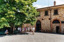 Essence of Chianti Small Group Tour with Lunch and Tastings from Florence