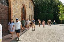 Essence of Chianti Small Group Tour with Lunch and Tastings from Florence