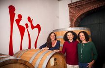 Castle Winery Tour & Tasting near Lake Maggiore