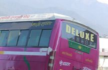 7 Days Tour on Poon Hill Trek and Chitwan Jungle Safari 