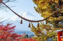 From Tokyo: Mount Fuji Highlights Tour with Kawaguchi Lake Cruise