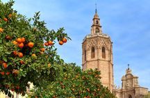 Private Walking Tour in Valencia with Guide