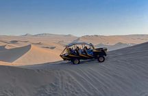Full Day Guided Trip to Ballestas Island and Huacachina Oasis