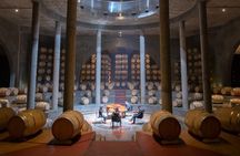 Salentein Wine Tour at the Heart of Uco Valley
