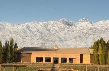 Salentein Wine Tour at the Heart of Uco Valley