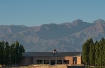 Salentein Wine Tour at the Heart of Uco Valley