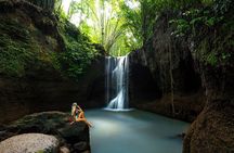 Bali Blue Lagoon Snorkeling and Waterfall Day Tour with Lunch