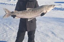 Yellowknife Winter 5 Days 4 Nights: Aurora and Day Activities