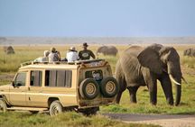 7 Day South Africa Tour: Cape Town to Durban
