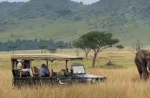 Half Day Hluhluwe Imfolozi Game Reserve from Richards Bay