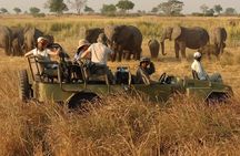 Half Day Hluhluwe Imfolozi Game Reserve from Richards Bay