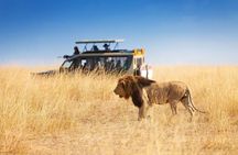 Half Day Hluhluwe Imfolozi Game Reserve from Richards Bay