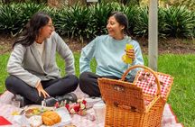 Chapultepec Walking Tour and Picnic