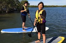 Noosa Stand Up Paddle & Mangrove Tunnel Tour