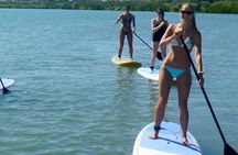 Noosa Stand Up Paddle & Mangrove Tunnel Tour