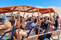 Paracas, Ballestas Islands and Huacachina Tour from Lima