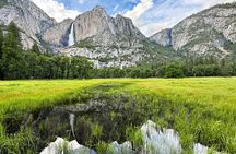 Yosemite Photo Workshop, Key Locations and Expert Tips, half day