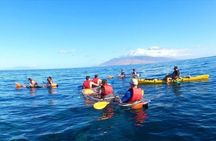 Clear Bottom Kayak and Snorkel Tour at Turtle Town, Makena 